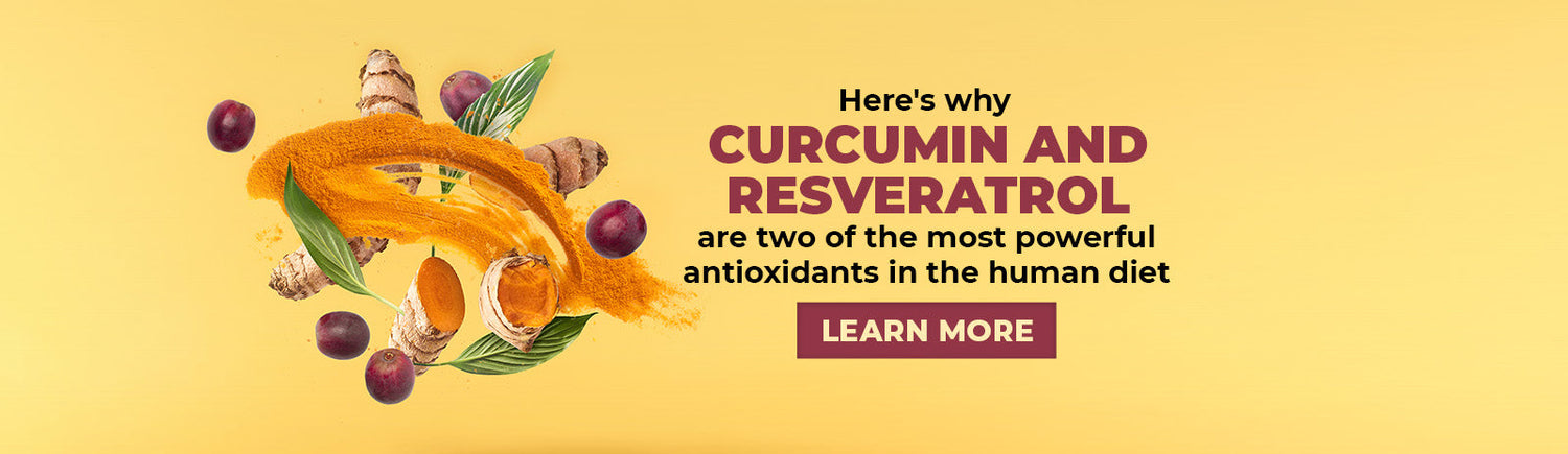 The antioxidant powerhouses: Why Curcumin and Resveratrol stand out