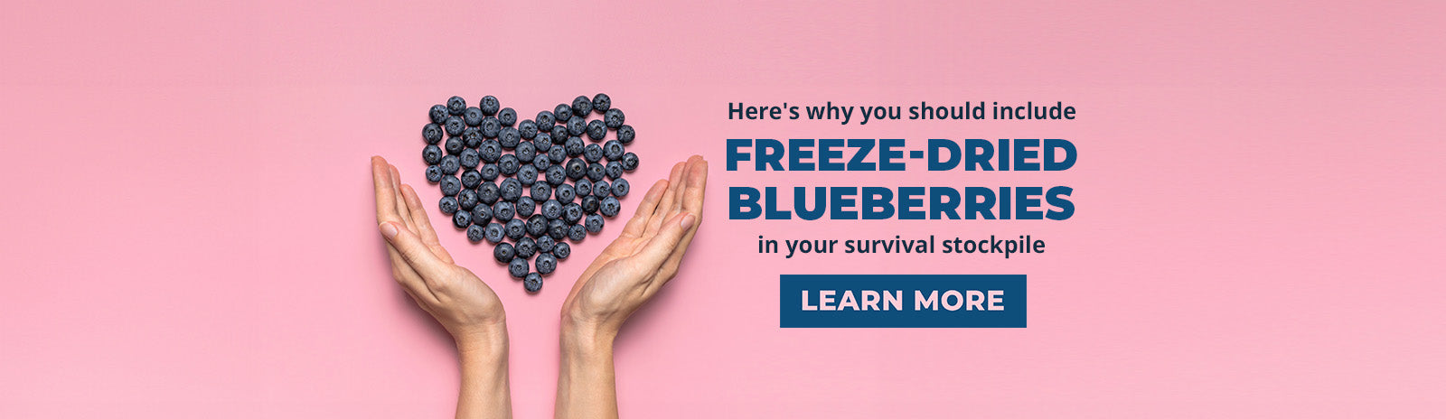 Here’s why you need Freeze-Dried Blueberries, a superfood full of antioxidants, in your survival stockpile