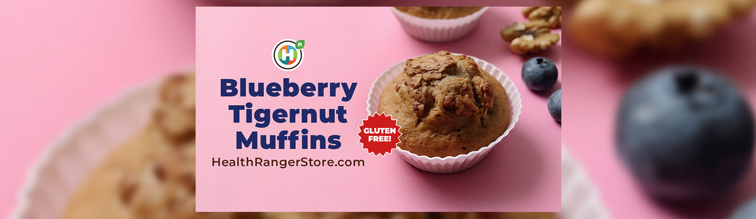 Blueberry Tigernut Muffins (Gluten Free!)