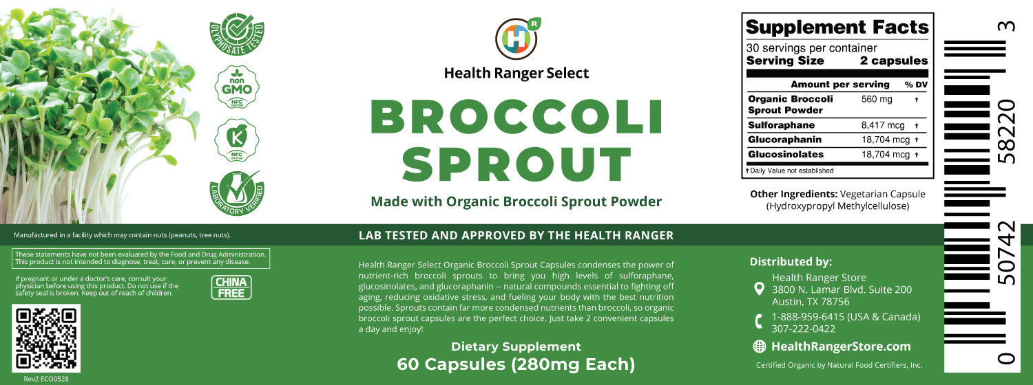 Broccoli Sprouts - 60 capsules - with Organic Broccoli Sprout Powder (6-Pack)