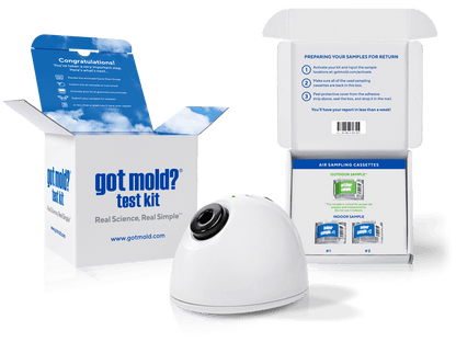 GOT MOLD? Test Kit