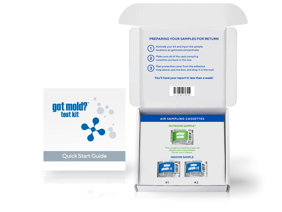 GOT MOLD? Test Kit