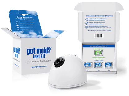 GOT MOLD? Test Kit