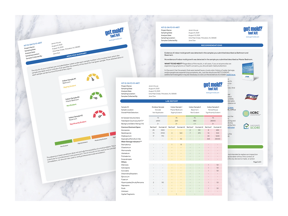 GOT MOLD? Test Kit
