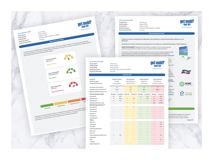 GOT MOLD? Test Kit